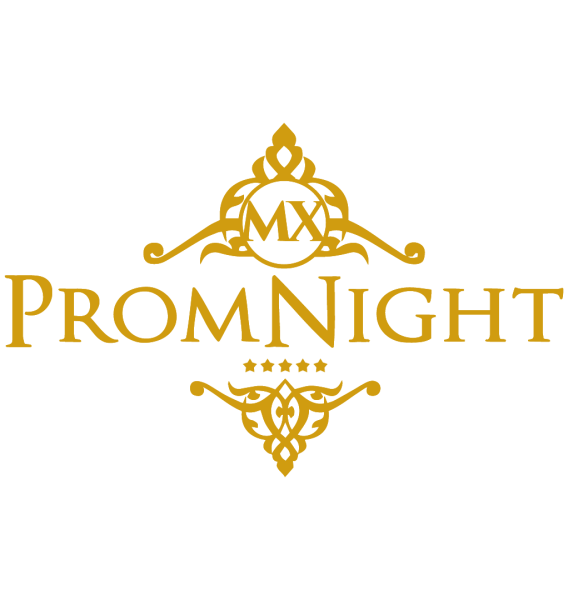 Prom Nigth Logos y Tipografia-06